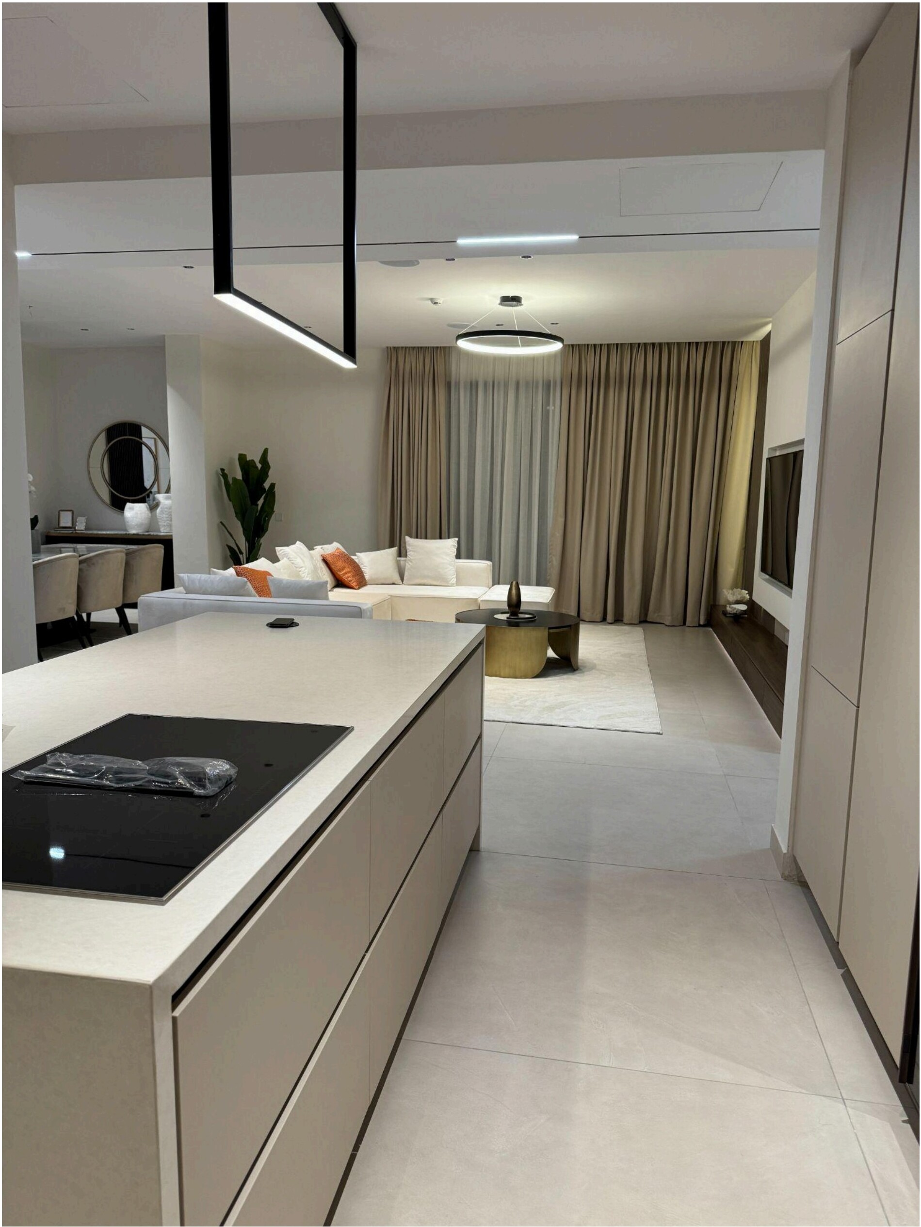 4-Bedroom Smart Penthouse